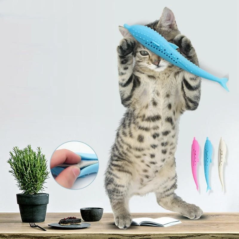 Cat Brush | Tubarão